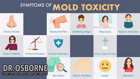 Mold Toxicity Warning Signs Symptoms FAQs GUIDE