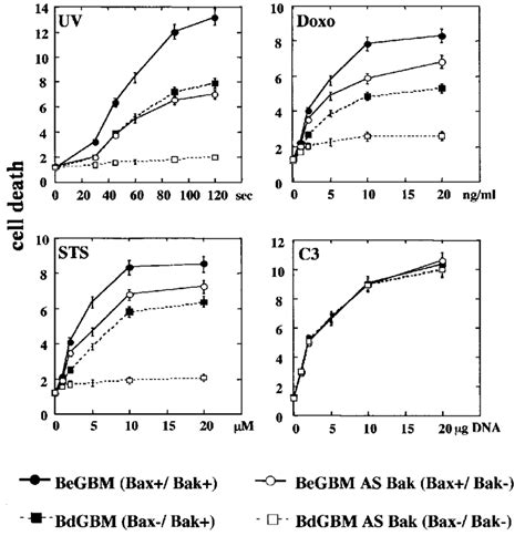 Double Bax/Bak deficiency abolished sensitivities toward apoptosis in ...