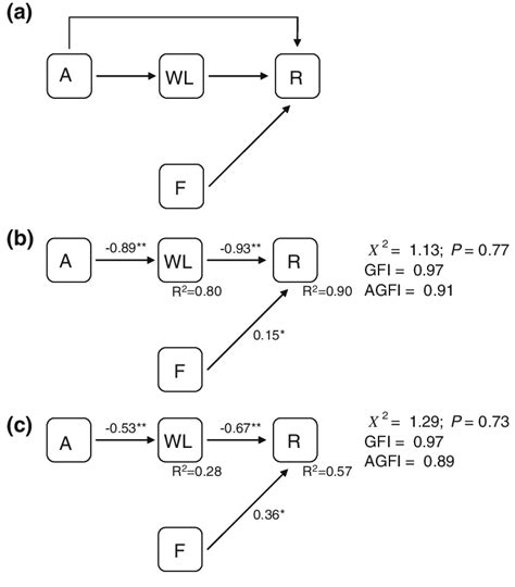 Path Diagrams Showing A Hypothesized Causal Relationships Between Download Scientific Diagram