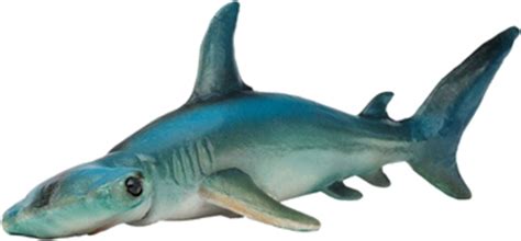 Фигурки акул - ROZETKA | Купить недорого: 🔥 цены, отзывы, продажа в Украине