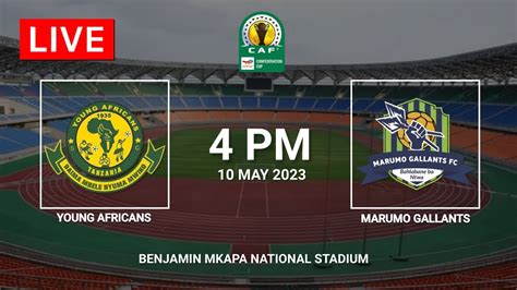 Yanga Vs Marumo Gallants CAF Confederation Cup 2022 23 Pre Match