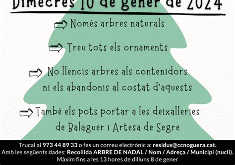 Nou Servei De Recollida Dels Arbres De Nadal Del Consell Comarcal