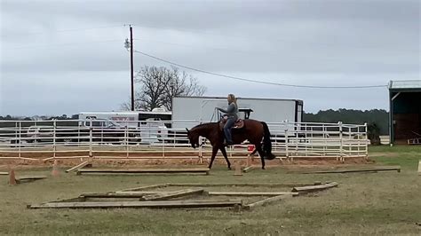 Aqha Just Zippin Hot Youtube