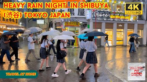 K Hdr Japan Travel Heavy Rain Night Walk In Shibuya Tokyo Japan