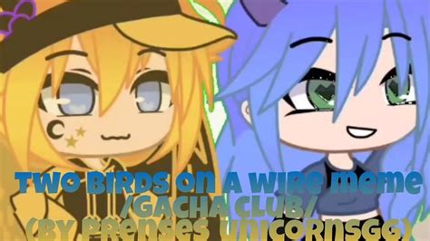 Two Birds On A Wire Meme Gacha Club By Prenses Unicornsgg Youtube