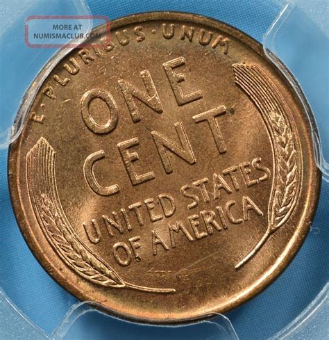 D Lincoln Wheat Cent Pcgs Ms Rd Cac Endorsed Example