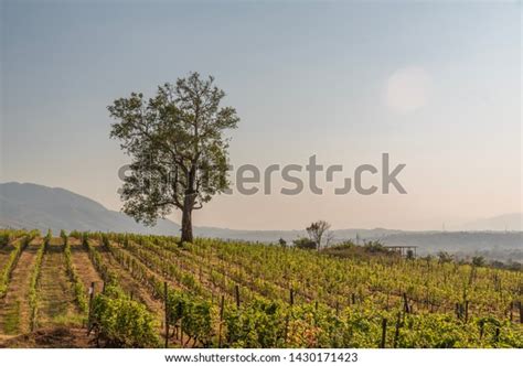 2 Taungyi Myanmar Images, Stock Photos & Vectors | Shutterstock