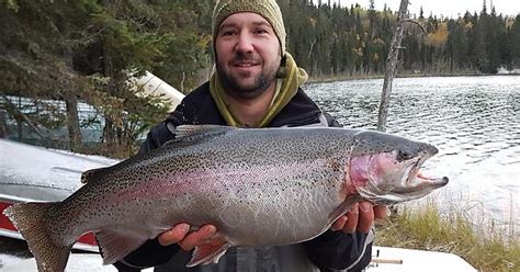 9lb 6oz Rainbow Trout Album On Imgur