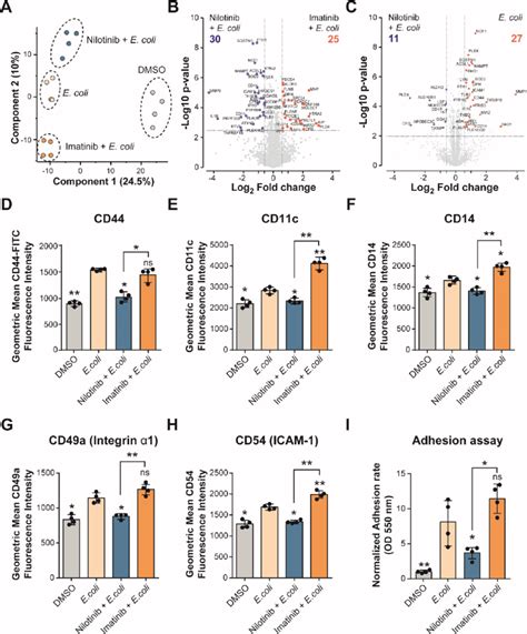 Nilotinib Inhibits Cell Adhesion And Monocyte Activation A PCA Plot