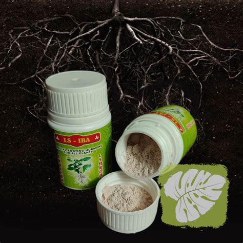 Hormon Penggalak Akar Rooting Hormone Iob Shopee Malaysia