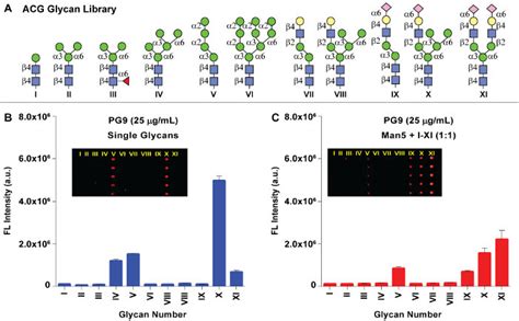 Glyan Array Analysis A Structures Of Synthetic N Glycans That Are