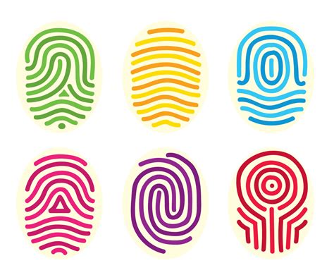 Colorful Fingerprint Collection Vector Vector Art And Graphics