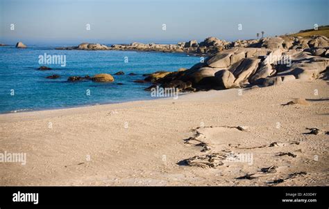 camps bay beach cape town Stock Photo - Alamy