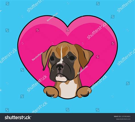 15 Boxer Dog Inside Royalty-Free Images, Stock Photos & Pictures | Shutterstock