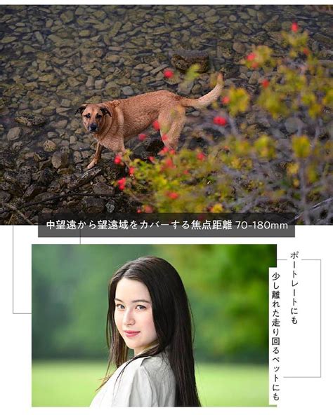 ニコンイメージングジャパン公式さんのインスタグラム写真 ニコンイメージングジャパン公式instagram「新登場【nikkor Z