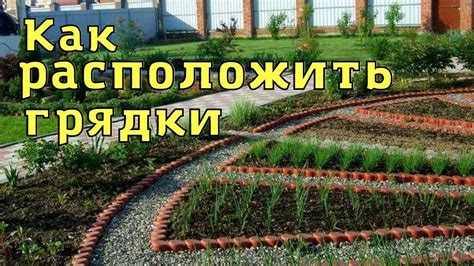 Оригинальные красивые грядки. - YouTube
