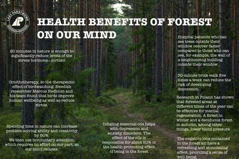 Exploring the Health Benefits of Forest Bathing - PolandDaily24.com