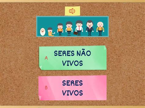 Fases Do Ciclo De Vida Test