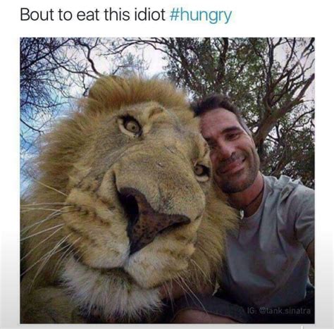 Best Vore Porn Images On Pholder Vore Codi Vore And Cock Vore