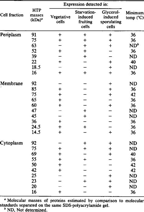 Table 1 From Heat Shock Proteins Of Vegetative And Fruiting Myxococcus