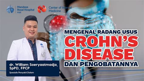 Pilihan Terapi Pengobatan Penyakit Radang Usus Crohn S Disease