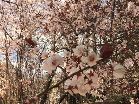 Life After 30 - Goals, Health, Fitness, Inspiration and more added a