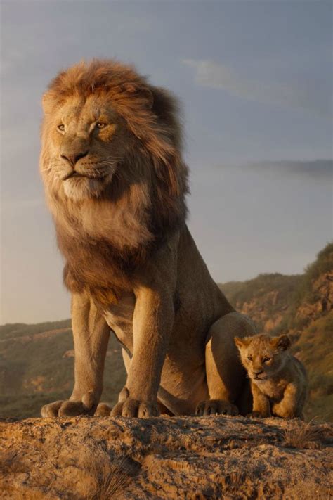 Disney live action lion king trailer featuring simba – Artofit