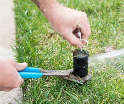 Step By Step Guide How To Replace A Sprinkler Head Updated January