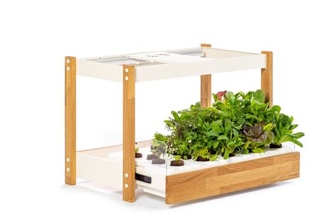 The Click & Grow 25 - Indoor garden for healthy, fresh home-grown leafy ...