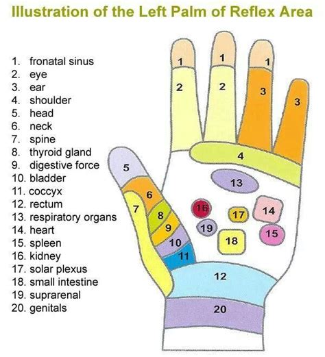 Tens Unit Pad Placement Best Practices Artofit