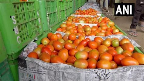 महाराष्ट्र के किसान को टमाटर ने बना दिया करोड़पति एक महीने में कमाए 15 करोड़ रुपये