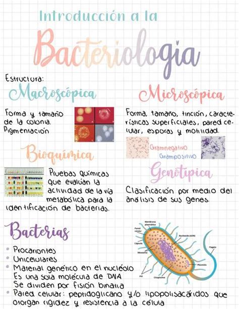 Introducción a la Bacteriología Paola Villa uDocz