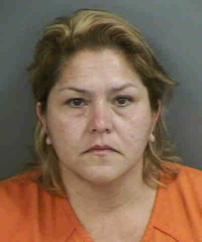 Cecilia Hernandez Collier County Arrests