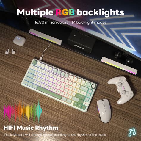 RK Royal Kludge R75 Hot Swappable Mechanical Keyboard RGB Gasket Mount Gaming Keyboard With