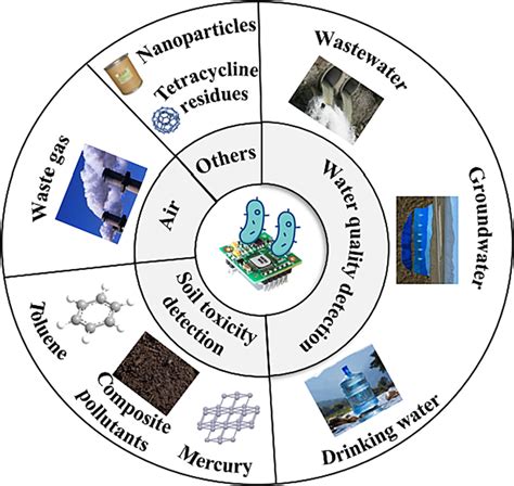 Luminescence: Vol 39, No 3 
