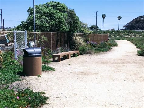 Hubbs Trail Tour At Agua Hedionda Lagoon San Diego Beach Secrets