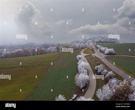 Aerial photos of a wooded winter landscape in Bavaria Stock Photo - Alamy