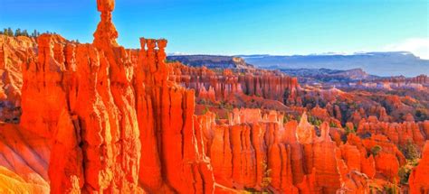 Top Park Narodowy Bryce Canyon Atrakcje Letnie Darmowa