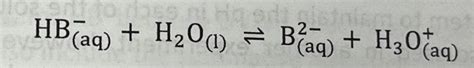 Solved Does The Equilibrium For This Equation Lay To The Chegg