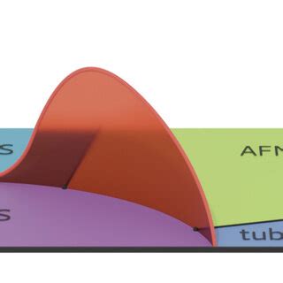 Sketch Not To Scale Of The Finite Temperature Phase Diagram Showing