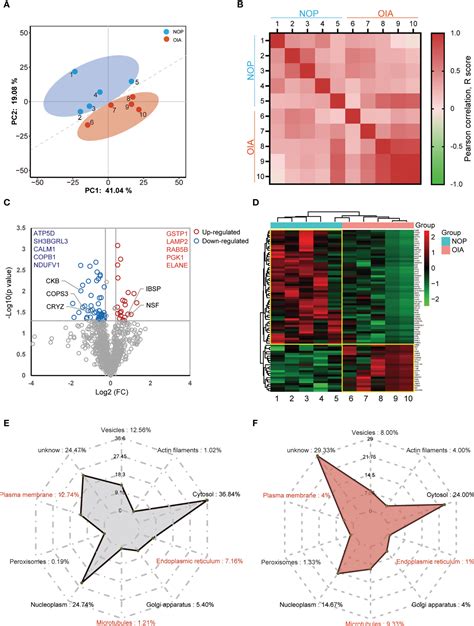 Frontiers Deciphering Core Proteins Of Osteoporosis With Iron