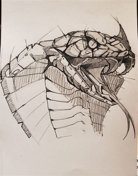 Pin By Welderhbeckett On Snake Drawing Snake Drawing Sketches