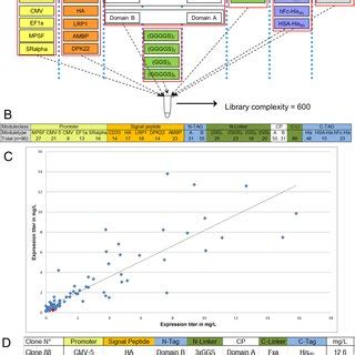 Expression optimization library of an artificial two domain cytokine ... 
