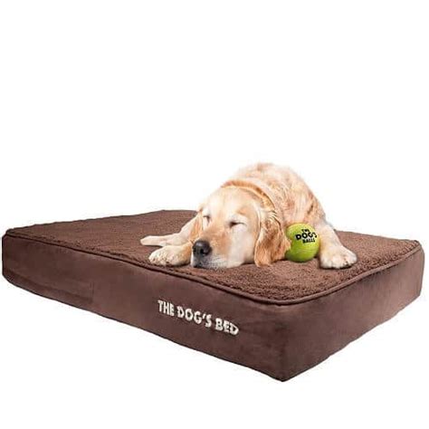 The 26 Best Dog Beds For Large Dogs In 2020 Pet Life Today