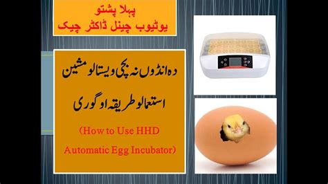 How To Use Hhd 56 Egg Incubator Automatic Video No 04 Youtube