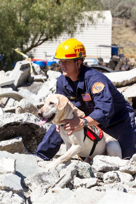 Sniffing out survivors: Dogs deploy after devastating Nepal earthquake