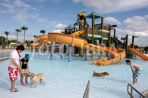 El Primer Aqua Park Canino Can Jan Abrir Sus Puertas Este Verano