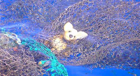 losttoy – MatterMasters