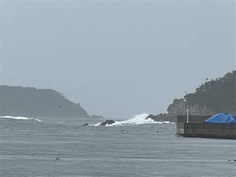 11月7日 火 鮎川〜金華山航路 海上タクシーくろしお は悪天候（強風・高波）のため欠航いたします 株式会社金華山観光クルーズ