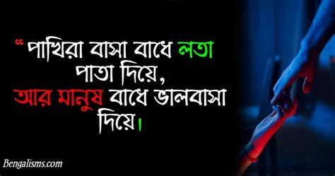 Best Bengali Love Quotes Bangla Love Quotes For Girlfriend